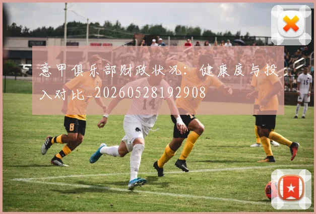 意甲俱乐部财政状况：健康度与投入对比_20260528192908